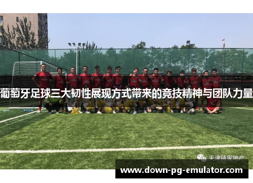 葡萄牙足球三大韧性展现方式带来的竞技精神与团队力量