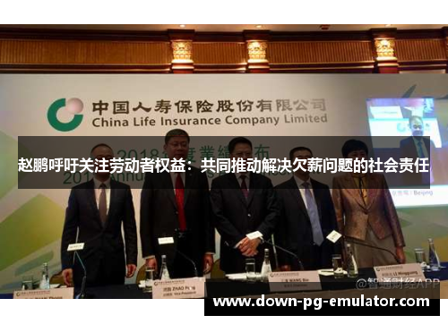 赵鹏呼吁关注劳动者权益：共同推动解决欠薪问题的社会责任